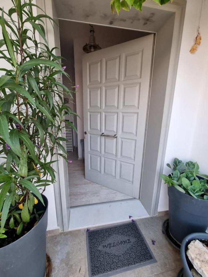 Hara'S Villa In Naousa , Paros Eksteriør billede