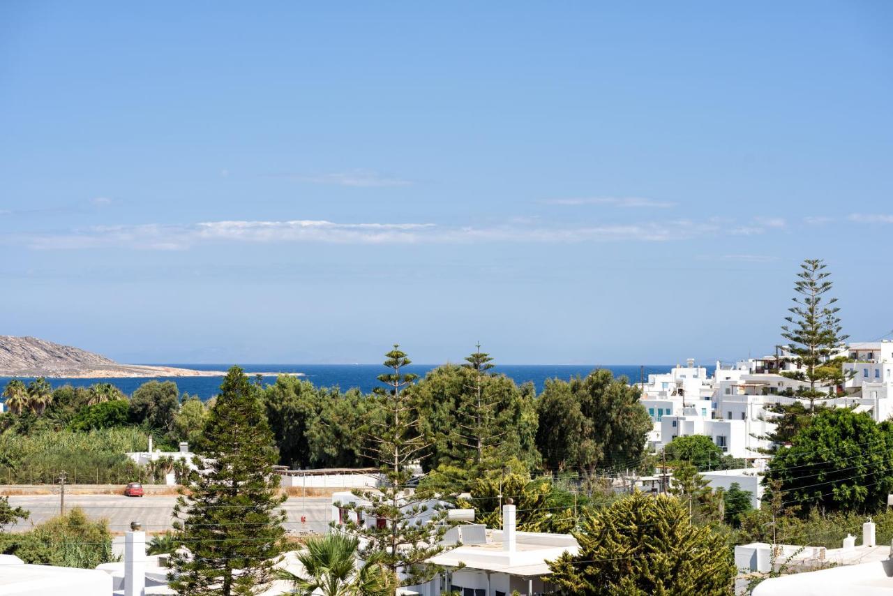 Hara'S Villa In Naousa , Paros Eksteriør billede