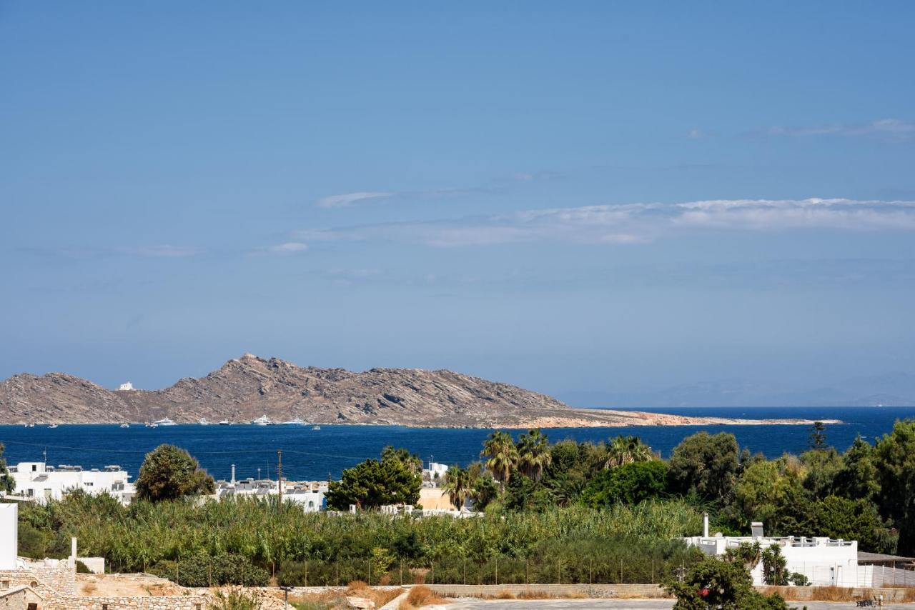 Hara'S Villa In Naousa , Paros Eksteriør billede